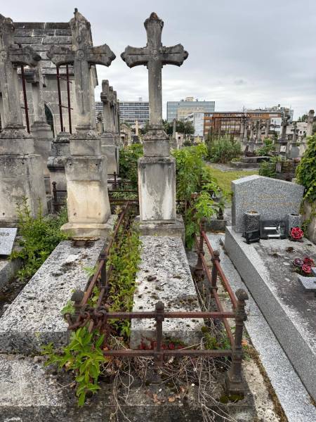 Avant : tombe envahie de végétation au cimetière de la Chartreuse à Bordeaux